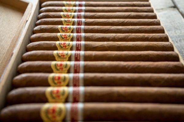 DIPLOMATICOS BUSHIDO CIGAR (EX. ASIA PACIFICO 2014) - Image 2